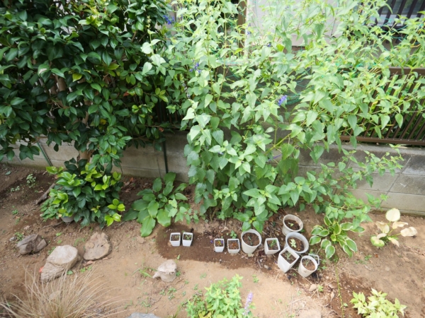 Thumbnail of post image 073