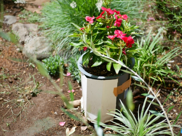 Thumbnail of post image 109