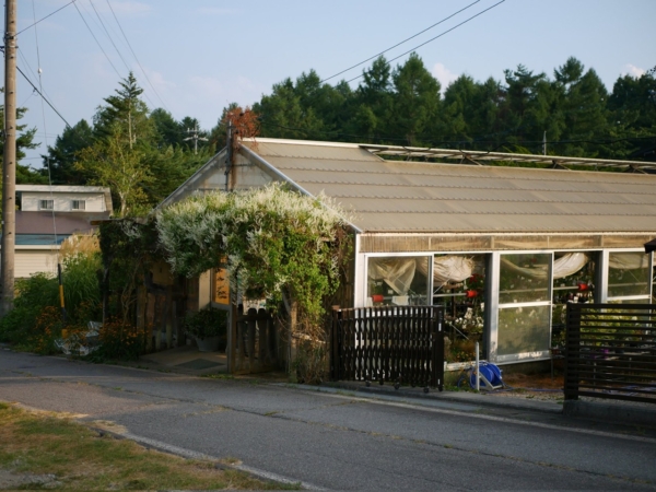 Thumbnail of post image 143