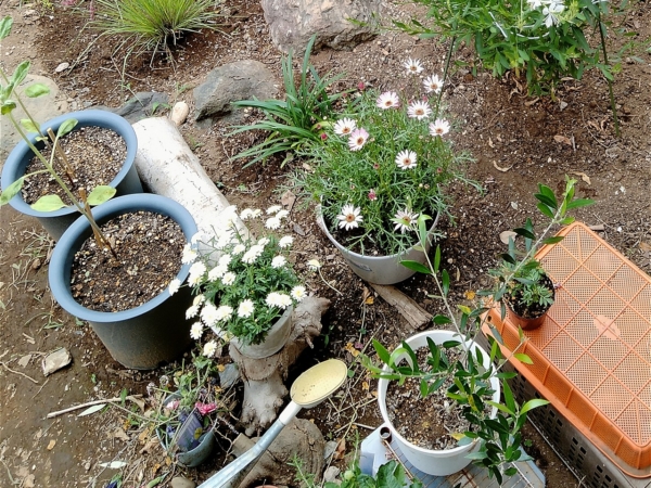 Thumbnail of post image 200