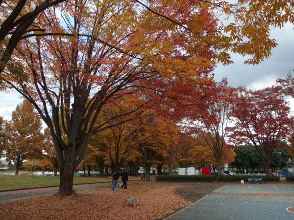 Thumbnail of post image 117