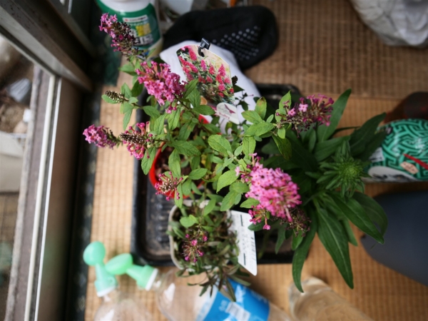 Thumbnail of post image 079