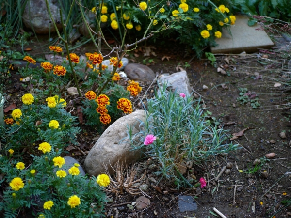 Thumbnail of post image 116