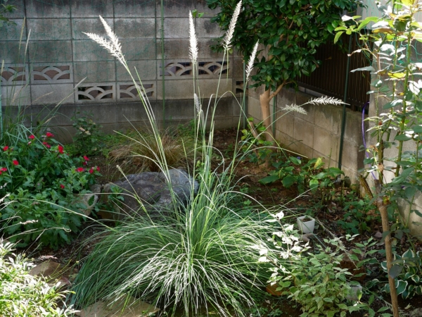 Thumbnail of post image 089