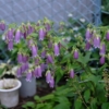 Thumbnail of related posts 115