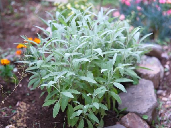 Thumbnail of post image 141
