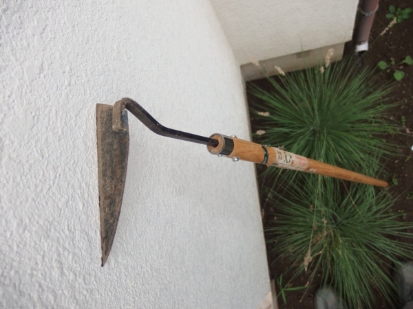 Thumbnail of post image 137