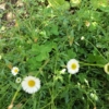 Thumbnail of related posts 200