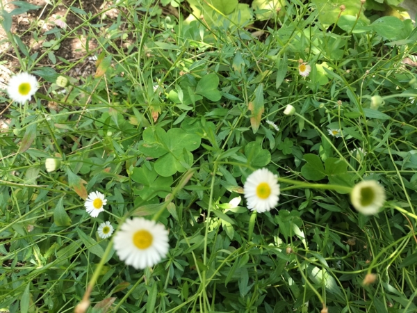 Thumbnail of post image 100