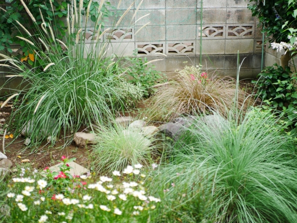 Thumbnail of post image 164