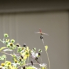 Thumbnail of related posts 076