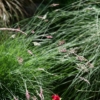 Thumbnail of related posts 152