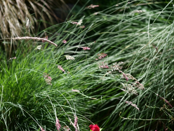 Thumbnail of post image 136